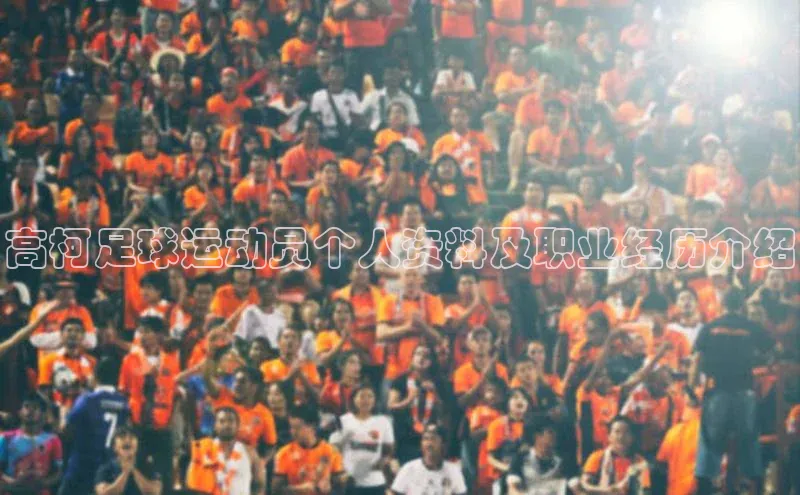 人人体育app官方版知乎