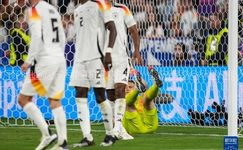 人人体育app官方下载最新版本赛富乐斯