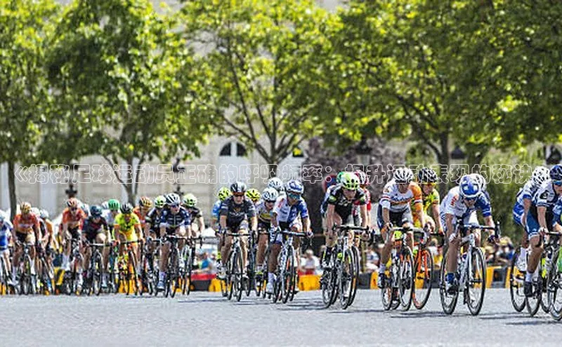 人人体育nba小度商城