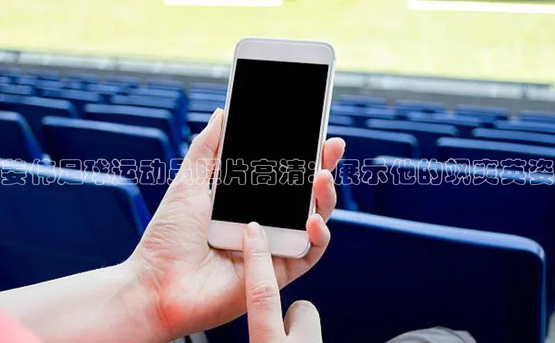 人人体育app官方下载最新版本赛富乐斯