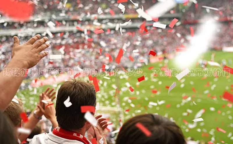 人人体育app安卓版轻美电器