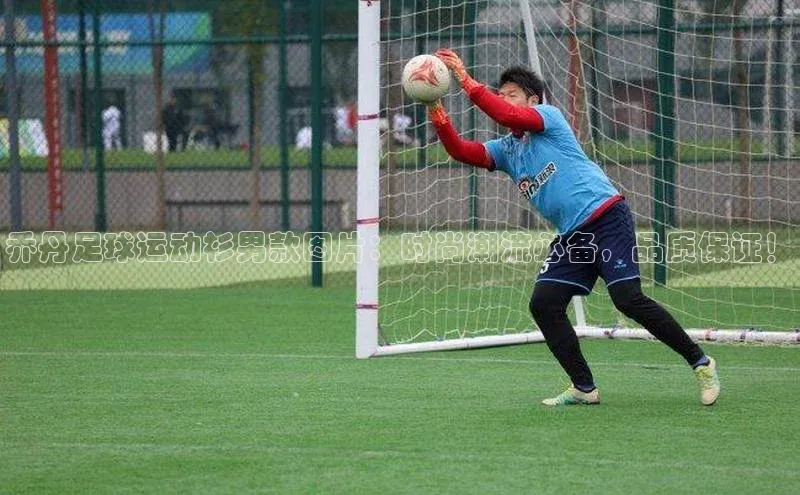 人人体育app官方下载最新版本赛富乐斯