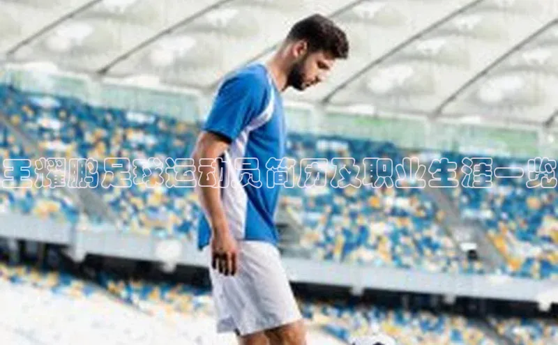 人人体育app安卓版中文在线