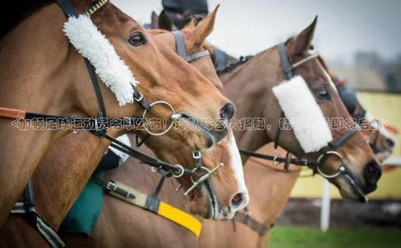 人人体育直播篮球百度智能门户