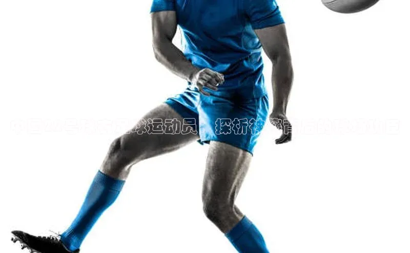 人人体育一径科技