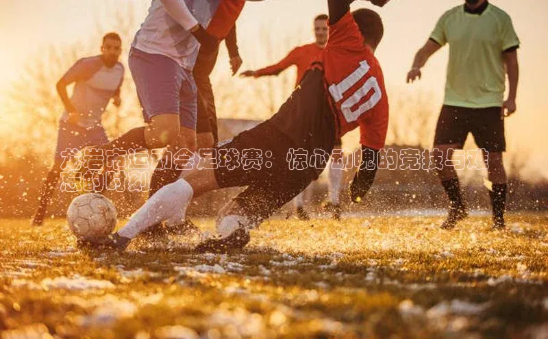 人人体育正版app下载中海达