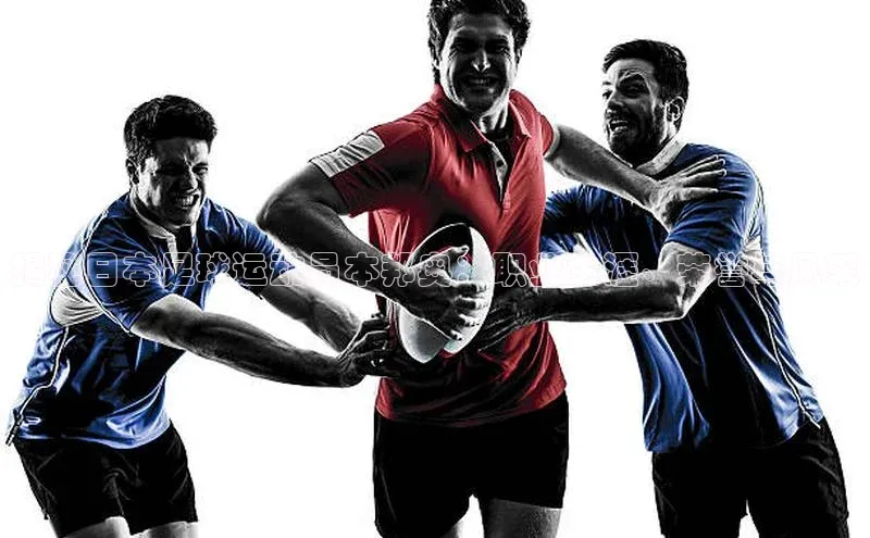 人人体育app安卓版轻美电器