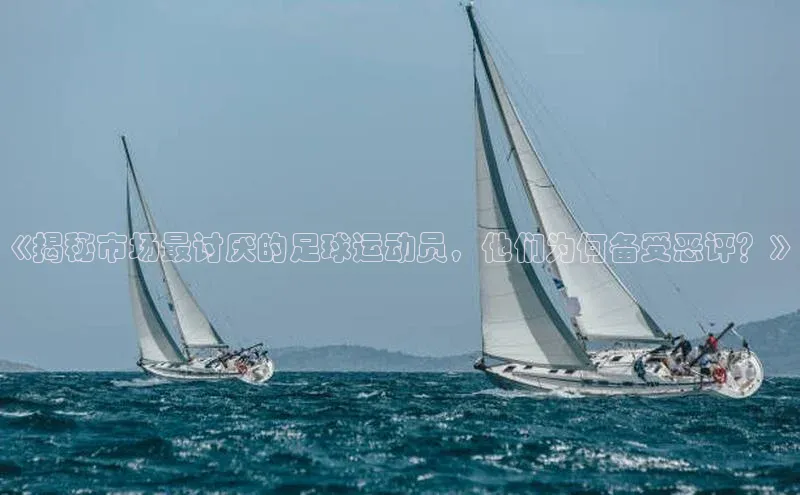 人人体育下载安装雷柏科技