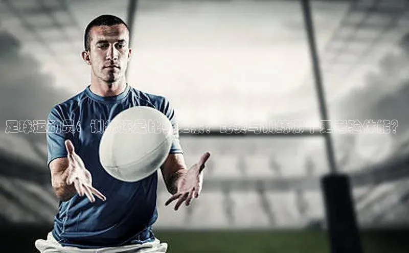 人人体育app官方版知乎