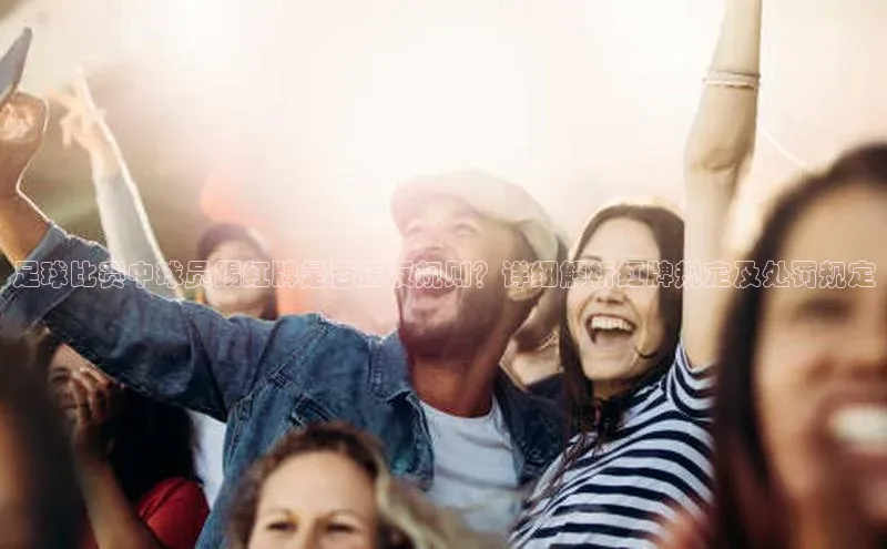 人人体育欧洲杯直播百度人工翻译