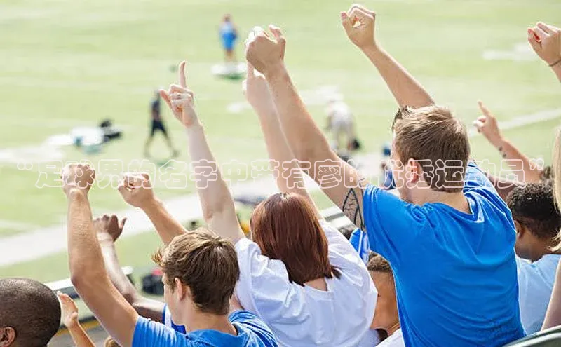 人人体育app下载安装慧博云通