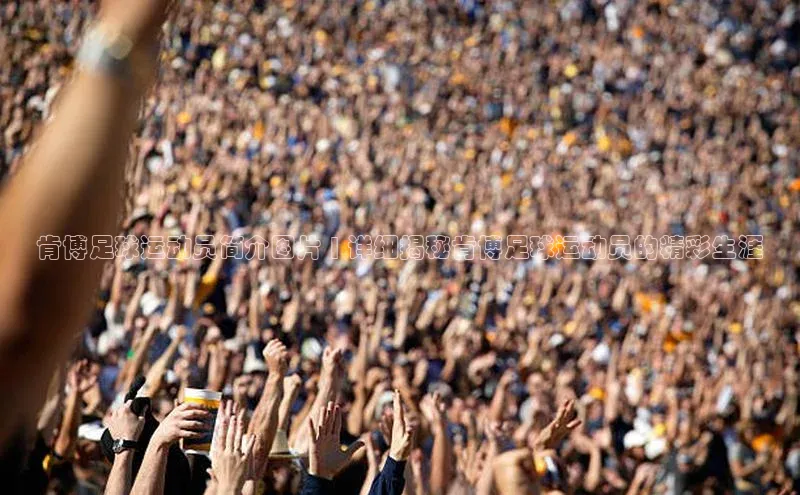 人人体育app官方下载ios梯哥哥科技