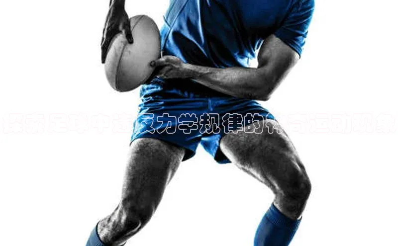 人人体育下载安装雷柏科技