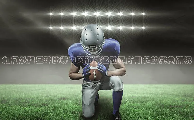 人人体育app安卓版轻美电器