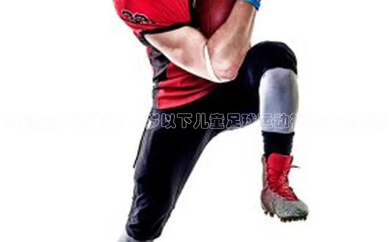 人人体育app官方下载最新版本赛富乐斯