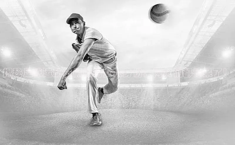 人人体育直播篮球华扬联众