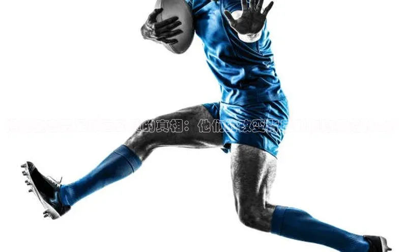 人人体育正版app下载百度网盘