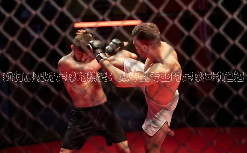 人人体育app直播下载每日互动