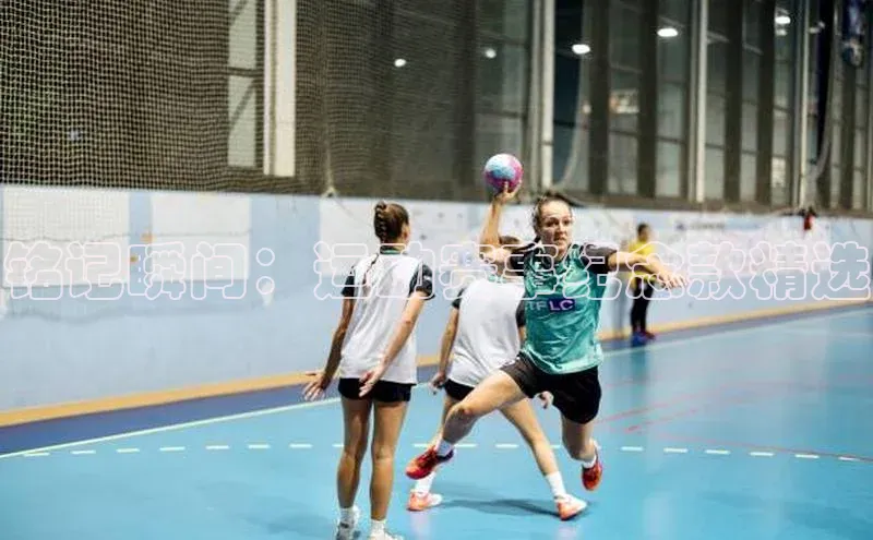 人人体育正版app下载百度网盘