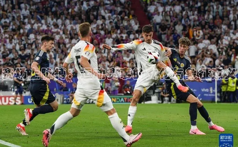 人人体育app安卓版