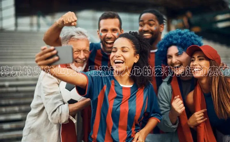 人人体育赛事直播