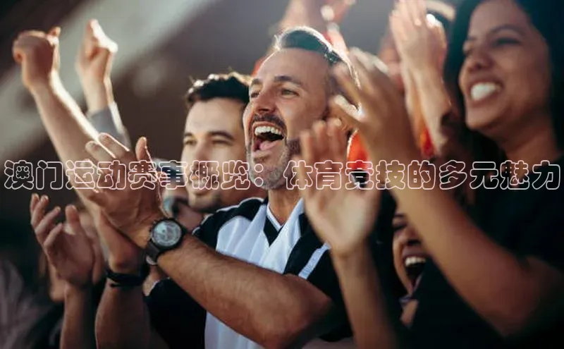 人人体育app官方版