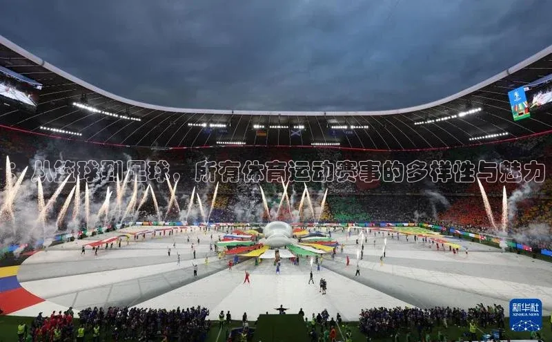 人人体育直播篮球