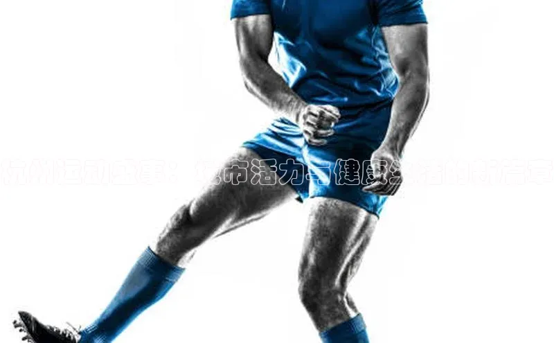 人人体育app安卓版