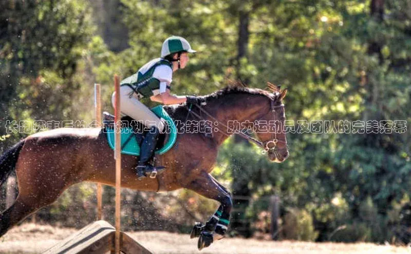 人人体育直播篮球