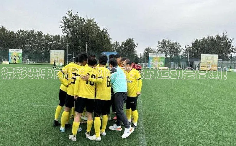 人人体育app官方下载最新版本