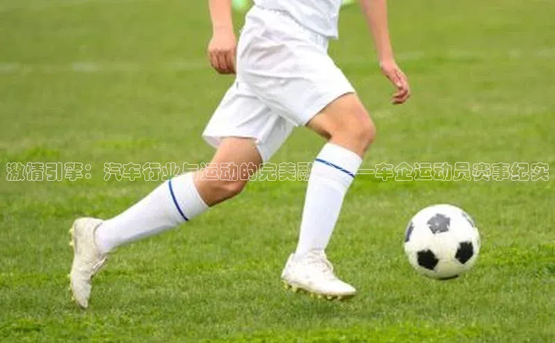 人人体育app官方版