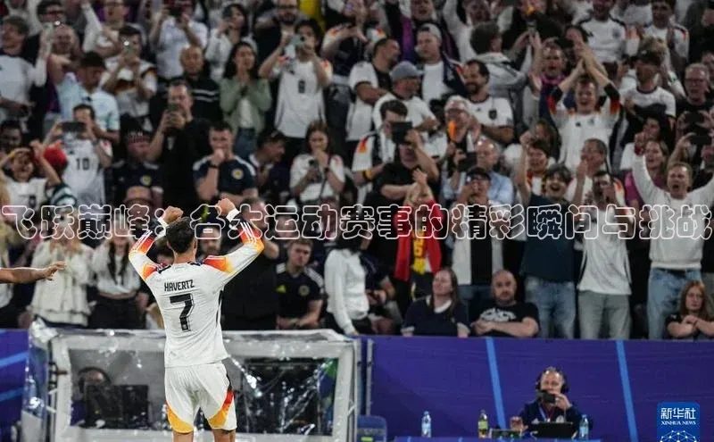 人人体育欧洲杯直播