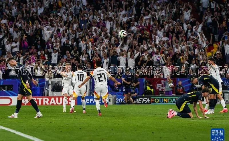 人人体育app安卓版