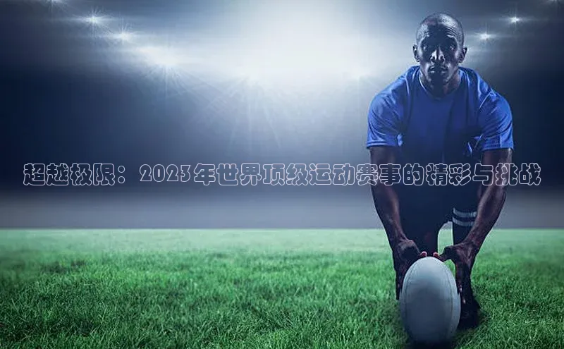 人人看球app下载