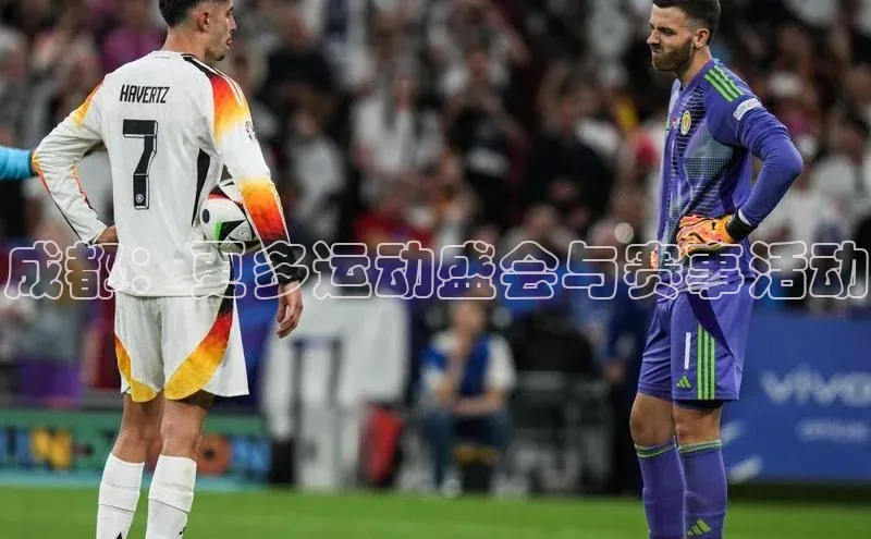 人人体育app直播下载